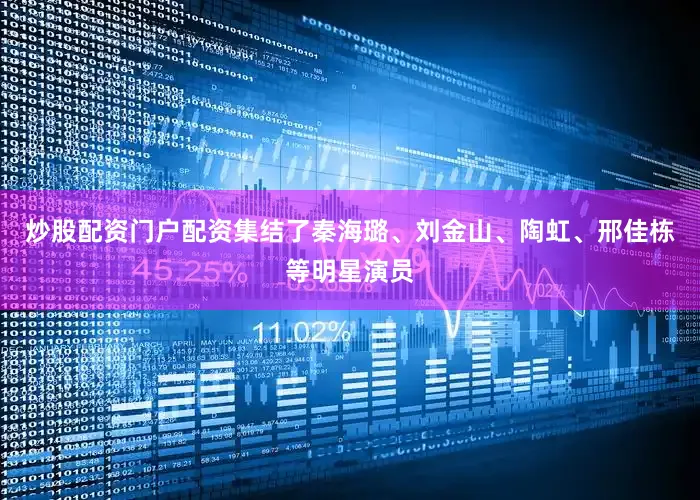 炒股配资门户配资集结了秦海璐、刘金山、陶虹、邢佳栋等明星演员