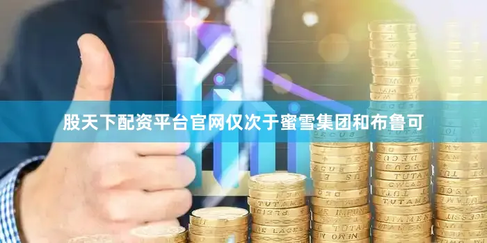 股天下配资平台官网仅次于蜜雪集团和布鲁可