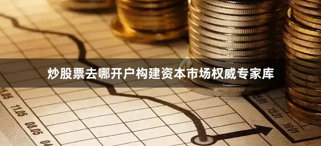 炒股票去哪开户构建资本市场权威专家库